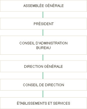 Assemblée générale - Président - Conseil d'administration / Bureau - Direction générale - Réunion de directeurs