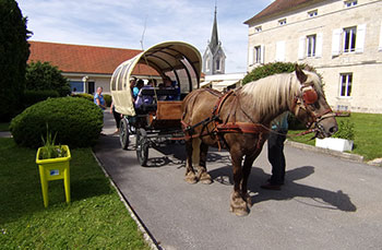 Foyer de vie/MAS le Château