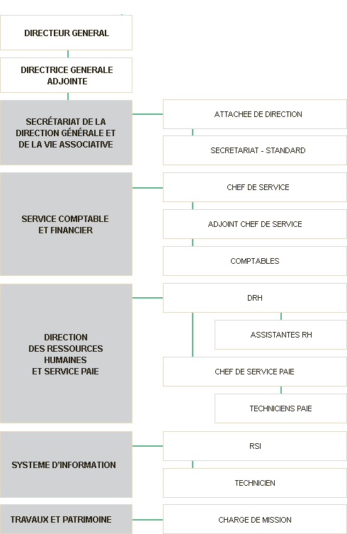 Organigramme de direction générale