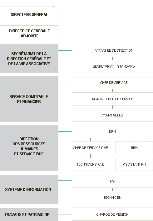 Organigramme de direction générale